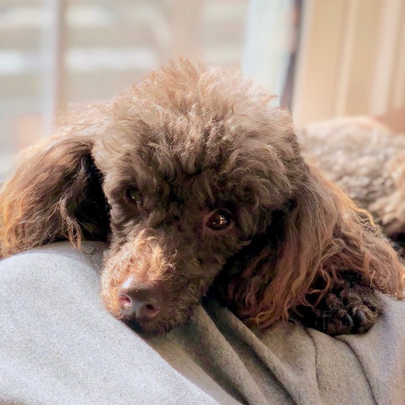 Meet your Posher, Mariamaria - Picture 1 of 1